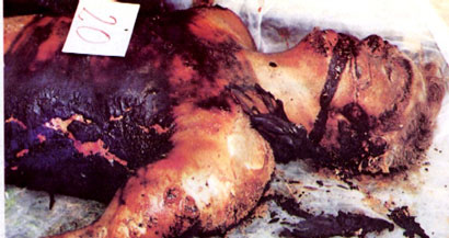 Bosnian Muslim military forces from Srebrenica killed Bosnian Serb Milan Vujicic, mutilated his body, and then roasted his corpse.
