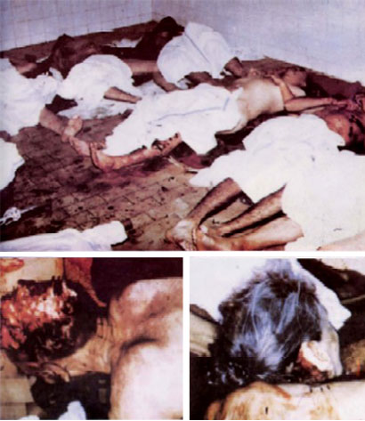 Top, bodies of elderly Bosnian Serbs executed by the Bosnian Muslim paramilitary group The Mosque Doves, or Djamijski Golubovi near Zvornik in eastern Bosnia. The Mosque Doves executed 25 Bosnian Serb civilians. Left bottom, Bosnian Muslim forces crushed his skull with an axe, exposing his brain. Right bottom, the body of an elderly Bosnian Serb woman who was murdered by Bosnian Muslim forces.