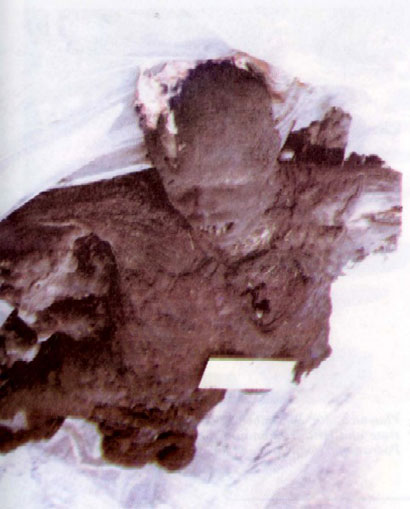 The body of Bosnian Serb Milovan Kovacevic whose body was mutilated and burned by Bosnian Muslim forces in Rogosije.