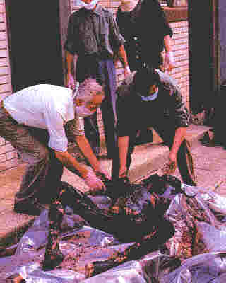 A Serb soldier who was captured by the Muslims, skewered on a spear and exhibited in front of a hotel. “He stayed alive for a few days,” said a Serbian journalist. That set off wild rumors throughout Bosnian Serb-held territories.
