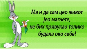 ...Тако је, Душко Дугоушко – шта будале знају колико вреди твој и мој живот?! ...И колико вреди само једно сретно детињство, само једног детета на свету?! ...Ти скотови са Запада, што само себе воле, иако не знају кога су све опљачкали ни шта све имају – немају, чак, ни представу о томе колико је то 300 милијарди долара?! ...Не знају, мајмуни, да и људска нога више вреди!