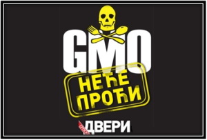 gmo