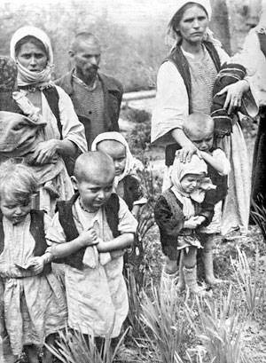 Подрињски Срби избегли 1942. у Србију